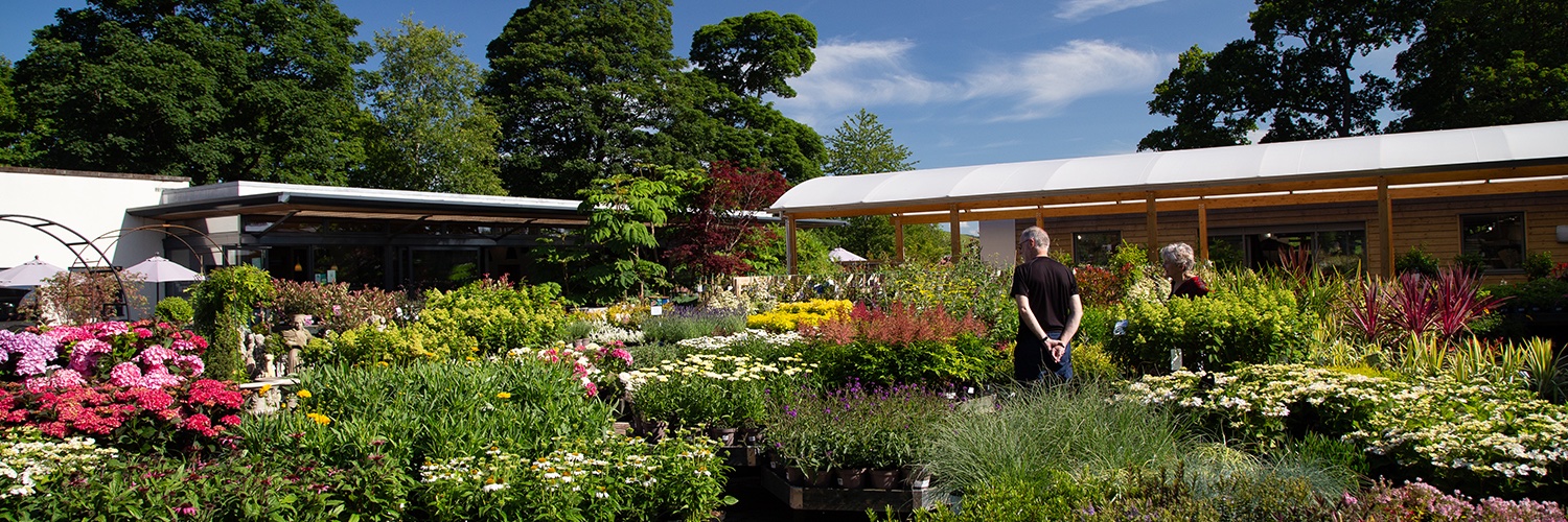 Beetham Nurseries banner
