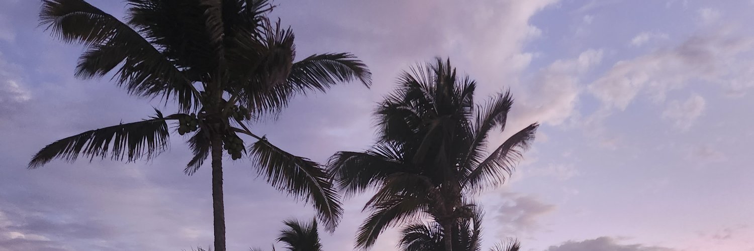 AnabelAbarca's profile banner image