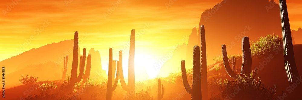 johnkarwoski's profile banner image