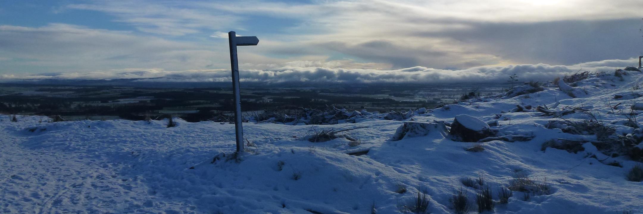 Patrick John Ring banner