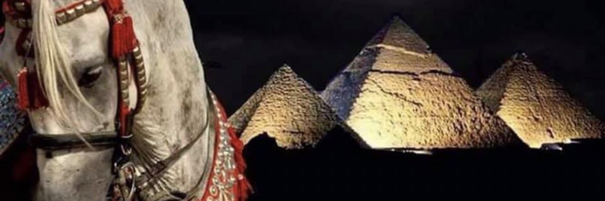 masrya08's profile banner image