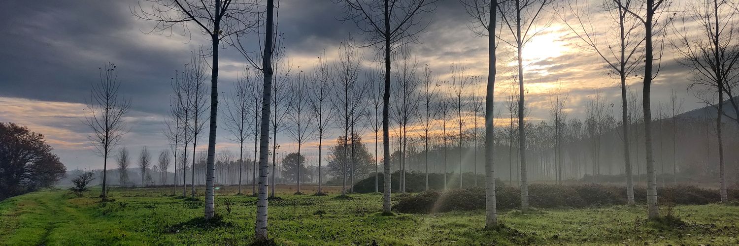 FranceRiccio's profile banner image