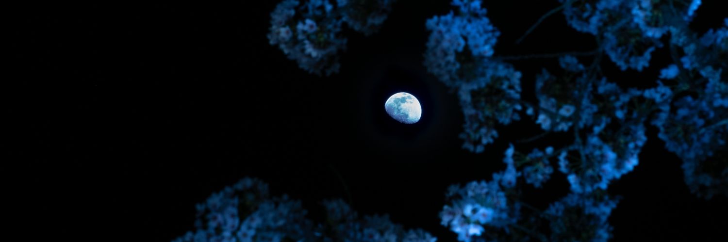 via_cry's profile banner image