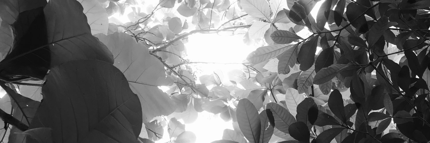 Geokobby_'s profile banner image