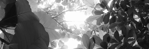 Geokobby_ Profile Banner