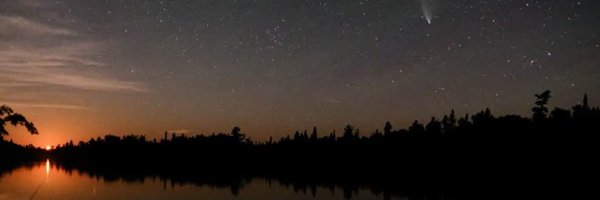 ForesterUMN Profile Banner