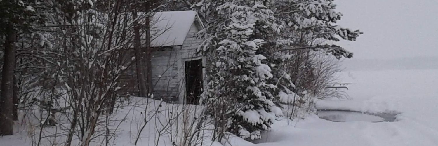 Bryan Laviolette banner