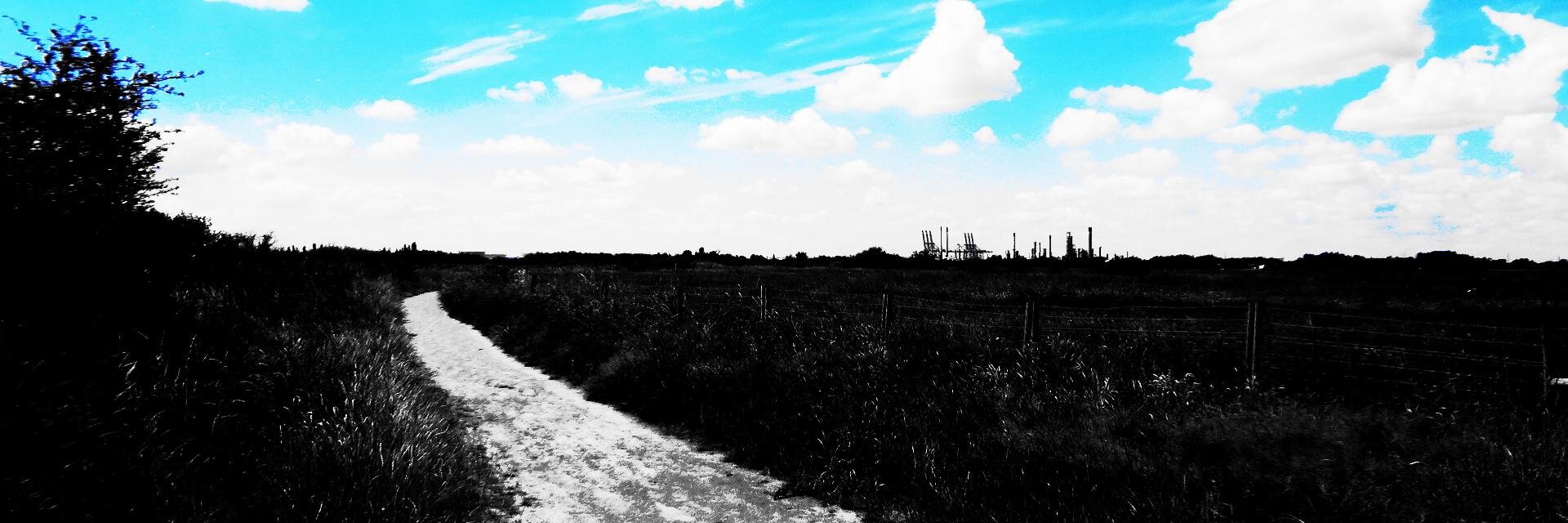 aileenmfoster's profile banner image