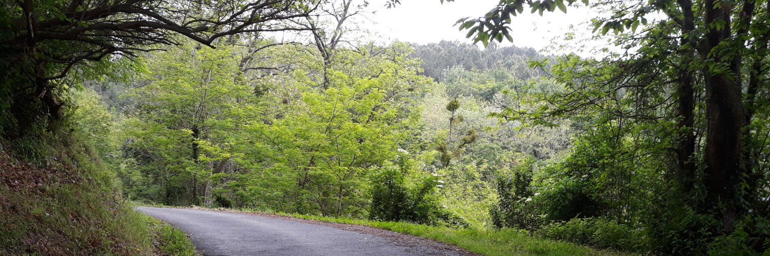 amaialmi's profile banner image