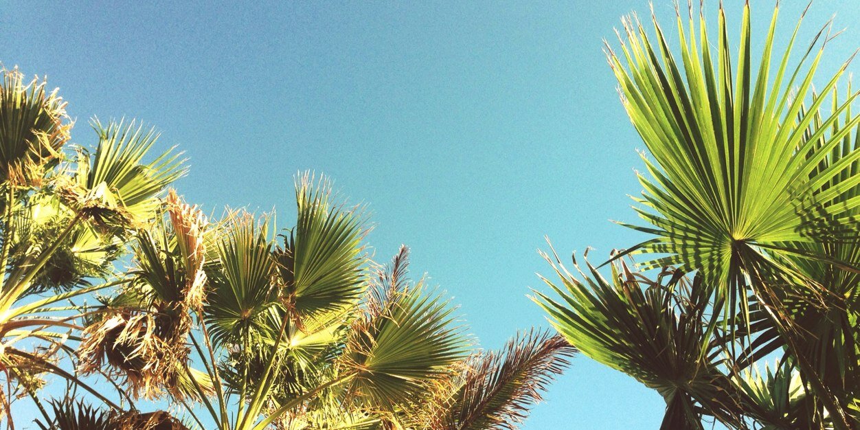 Joilyn Jackson banner