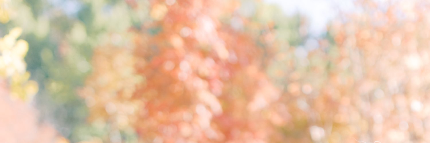 hgsnel's profile banner image