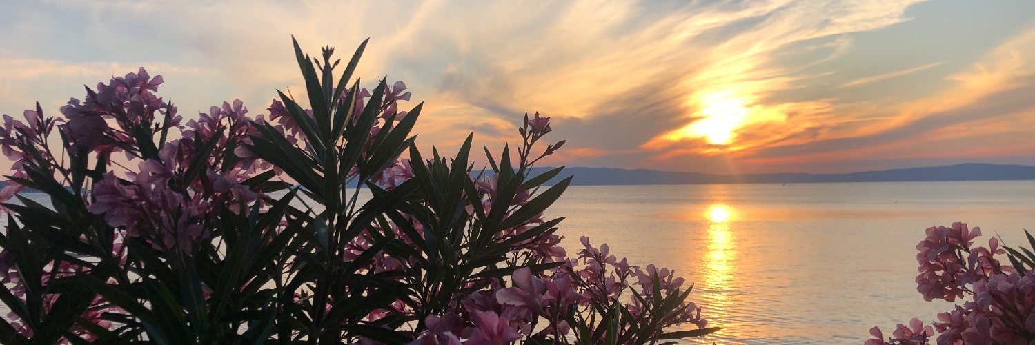 mimaamarinkovic's profile banner image