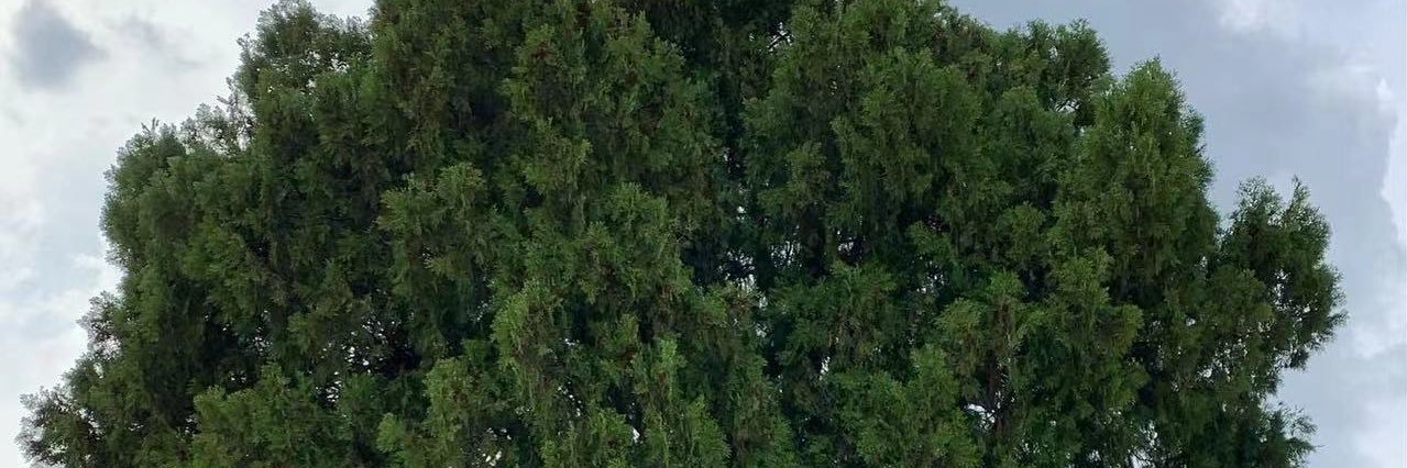 rwindi33's profile banner image