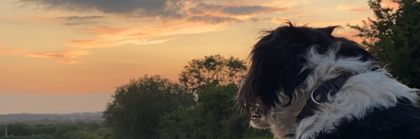 noramurphy99's profile banner image