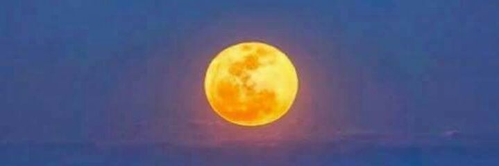 lebus71's profile banner image