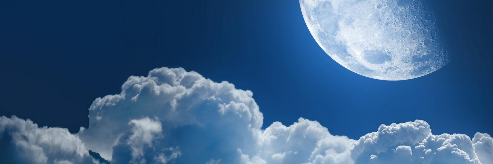 BrunoTheHusky's profile banner image