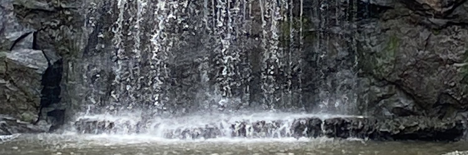 user_Theuser's profile banner image