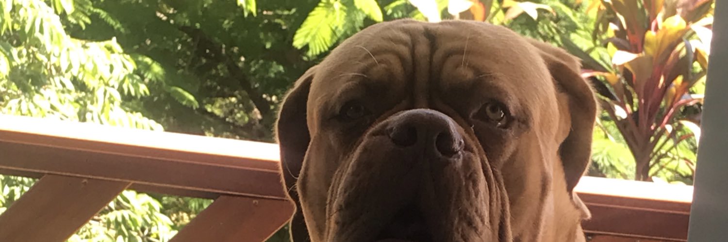 MarceloLuppi's profile banner image