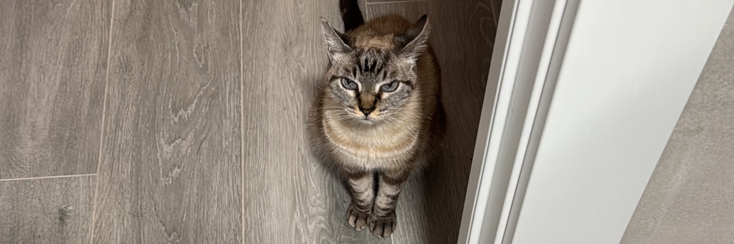 Javi Marchena banner