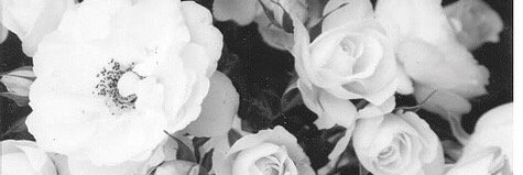 Evy_Olsen's profile banner image