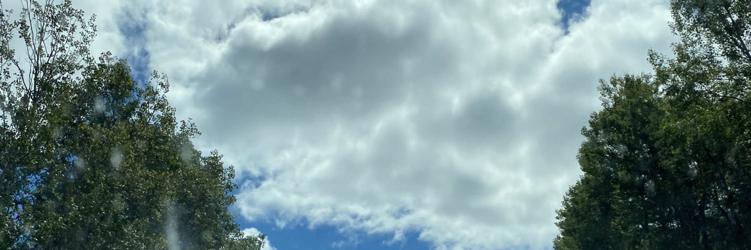 emmaschut17's profile banner image