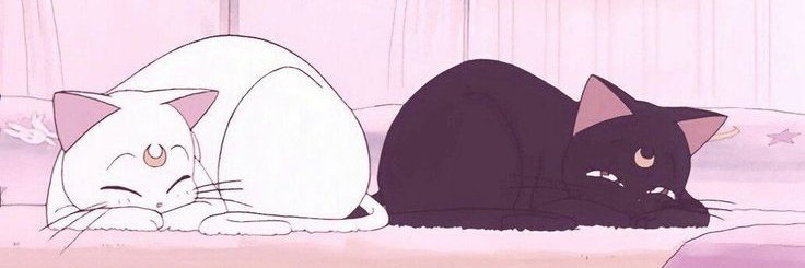 sharonadn's profile banner image