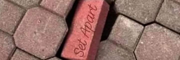 DebraDuffy11's profile banner image