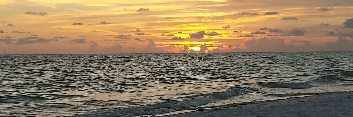 MissBucs's profile banner image