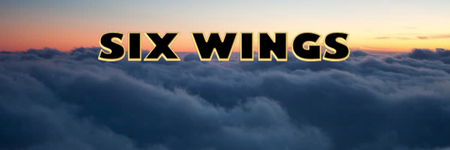 6wings's profile banner image