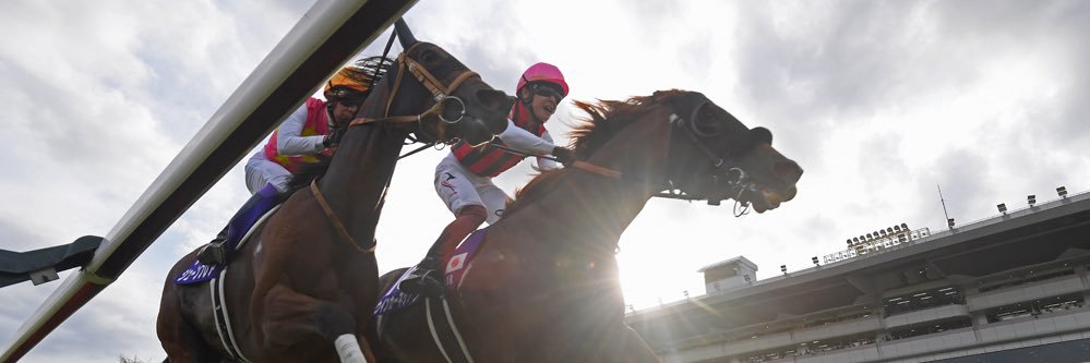 のれ　競馬ミニ4レーサー banner