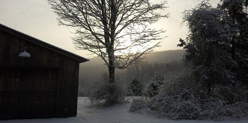 Daniel Curtis banner