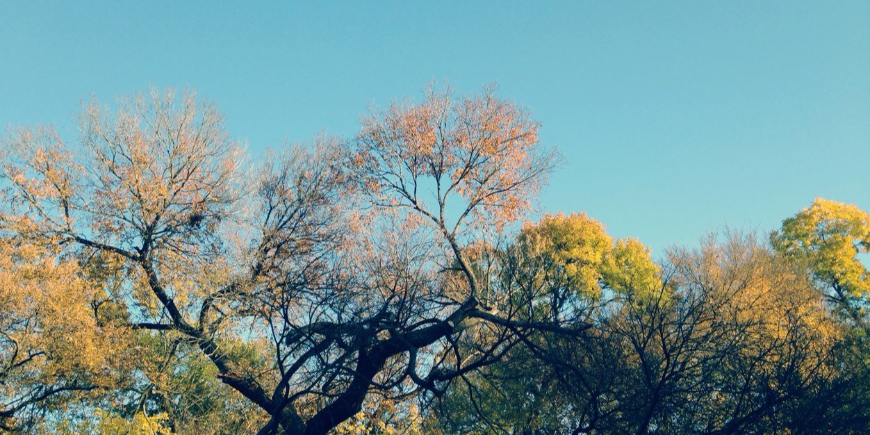 LayneLynch's profile banner image