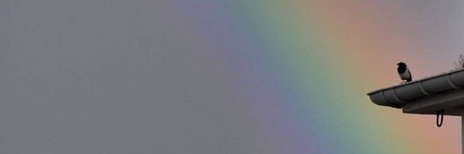 plrmrg's profile banner image