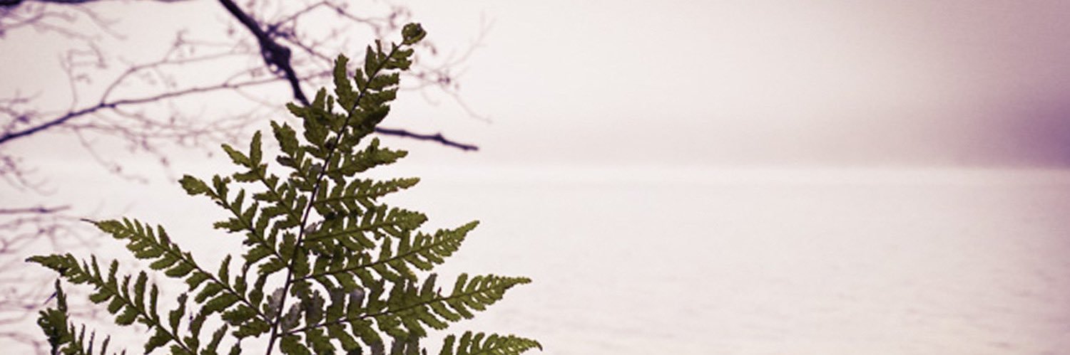 ZeugsUndSo's profile banner image