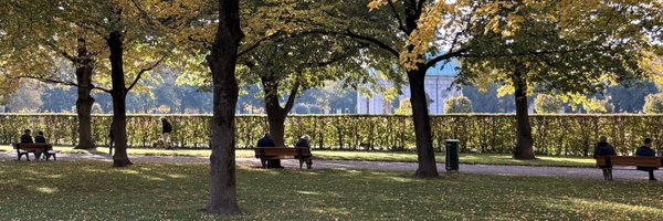 auris Profile Banner