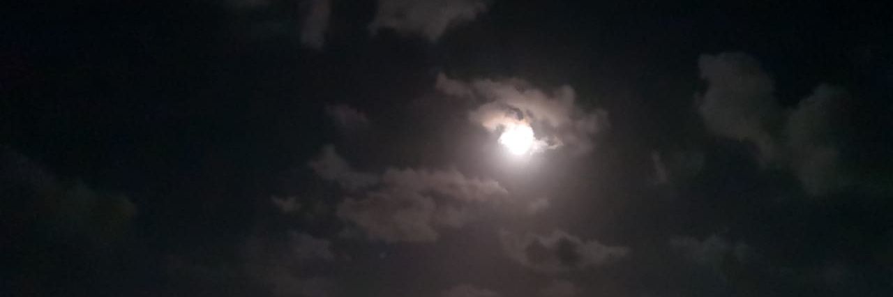 MelissaSanchez_'s profile banner image