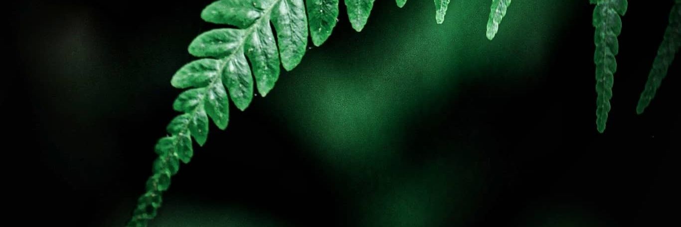 Arifperformance's profile banner image