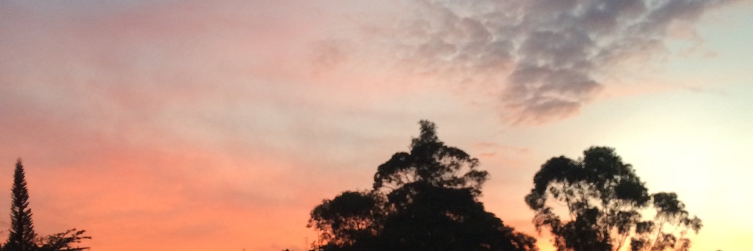 SthefaHenaoM's profile banner image
