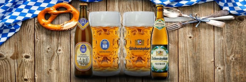 Cervebel banner