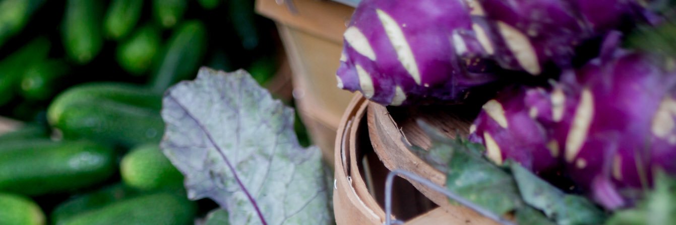 Jess Rice banner