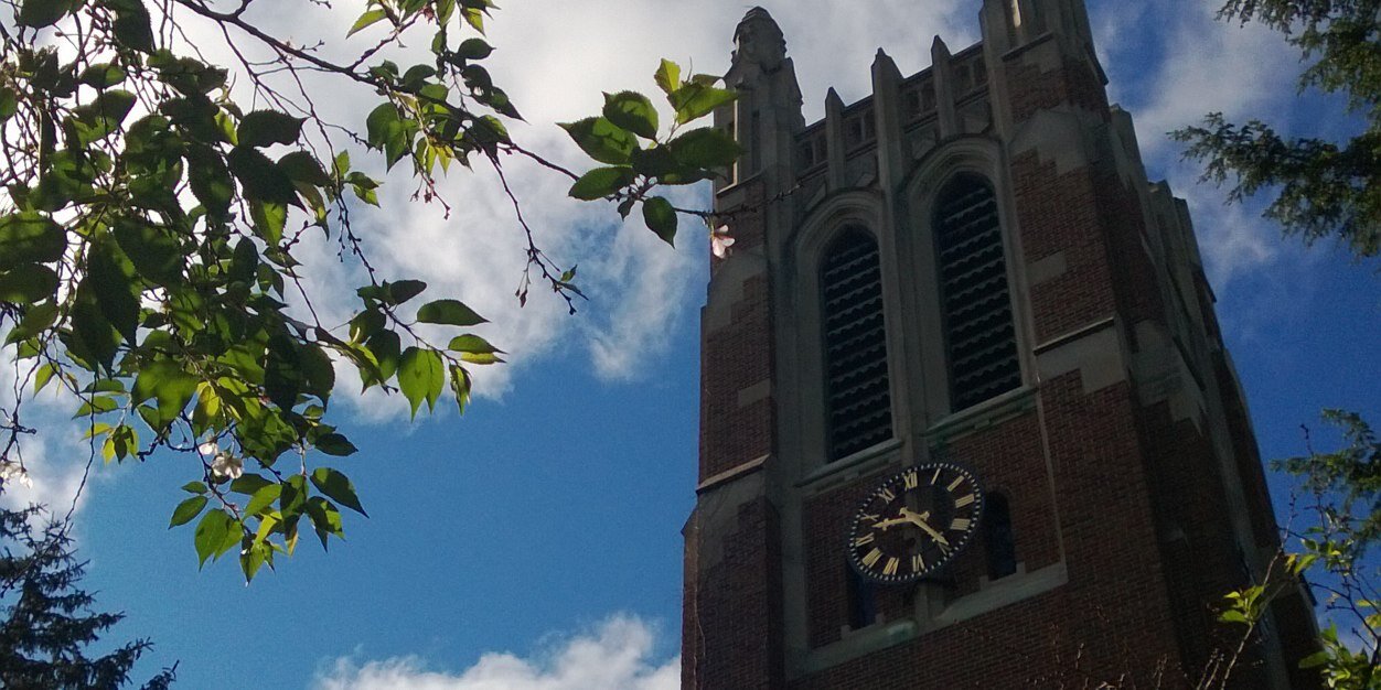 king_msu's profile banner image