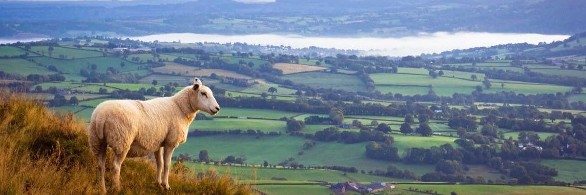 Mbets4's profile banner image
