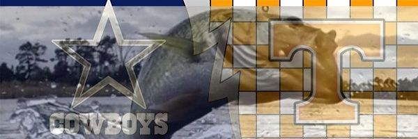 🇺🇲Ern✭ banner