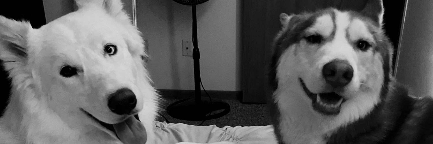 AlexisLandon15's profile banner image