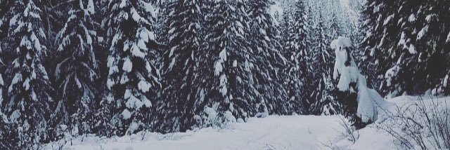 rainbootmonster's profile banner image