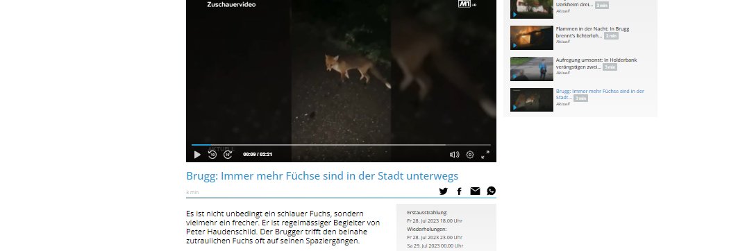 derschlauefuchs's profile banner image