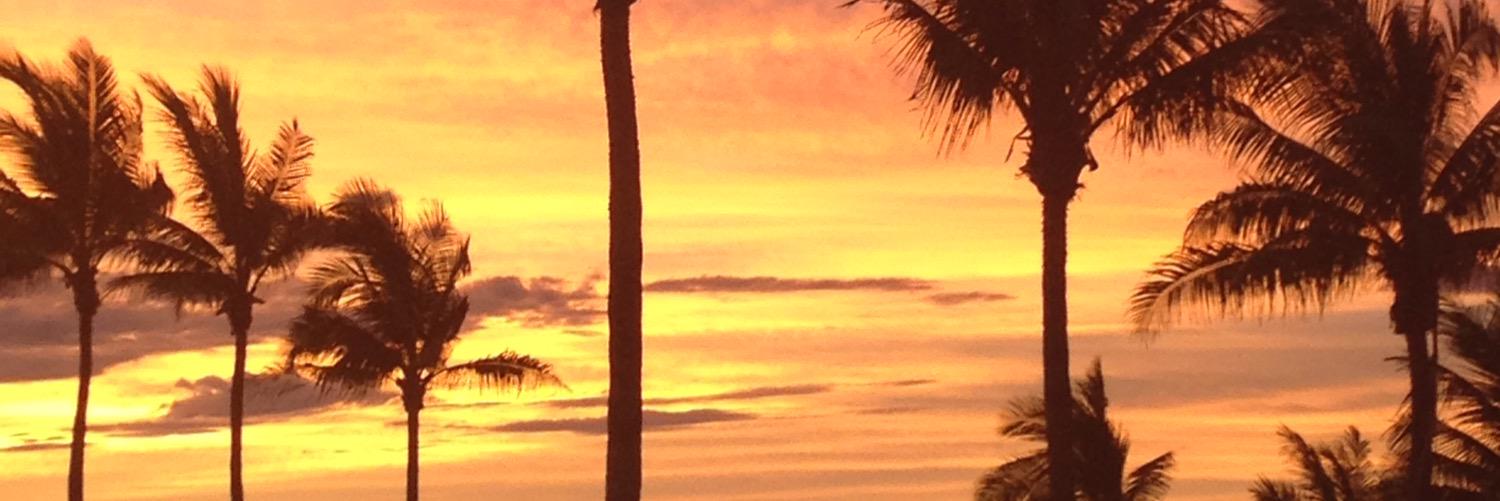 stevoef's profile banner image