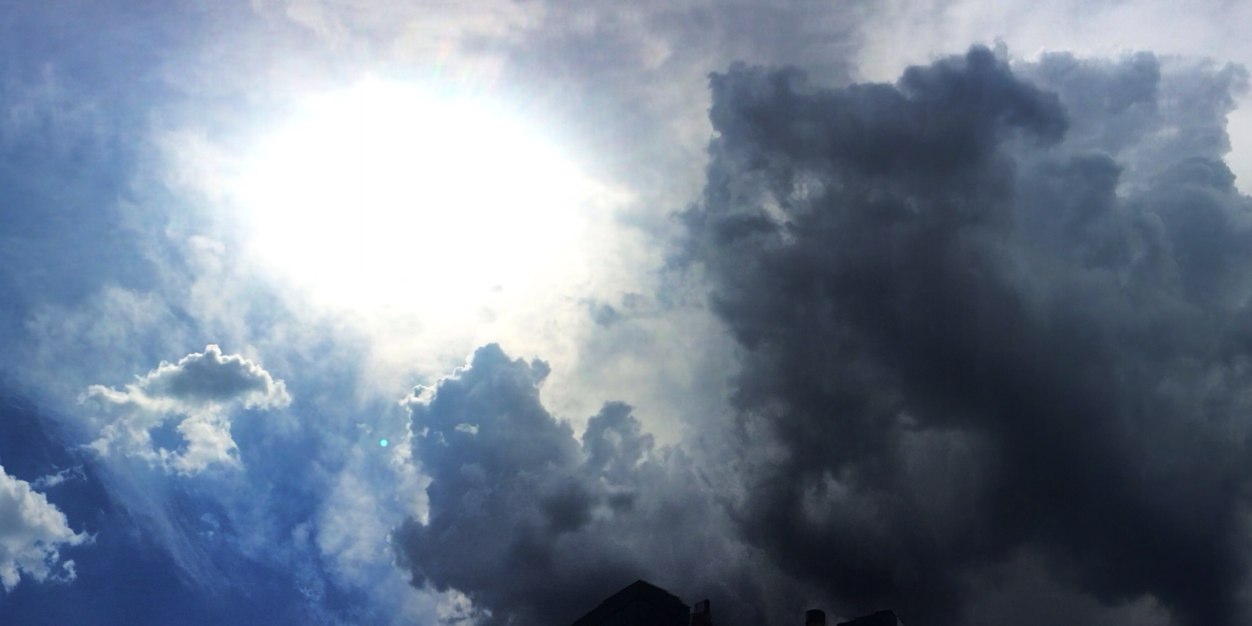 Elena Bonanni banner