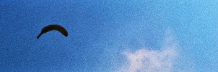 Makenziegossard's profile banner image