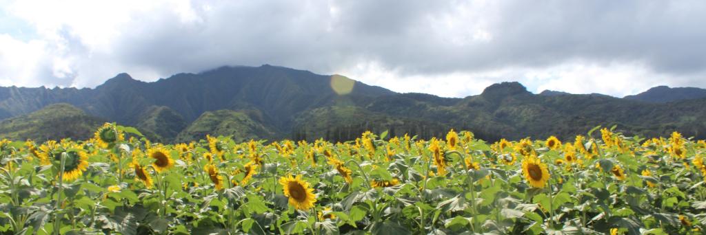 NRCS_PIA's profile banner image